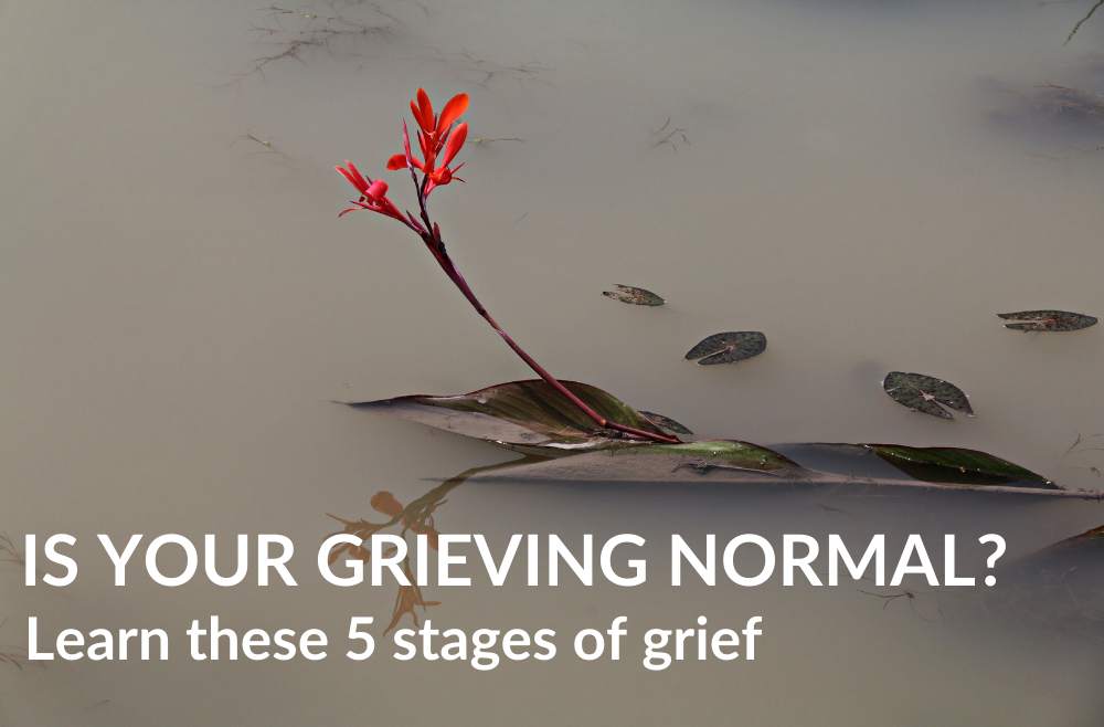 Is Your Grieving Normal? Know Your Stage Of Grief and Loss (5 Stages)