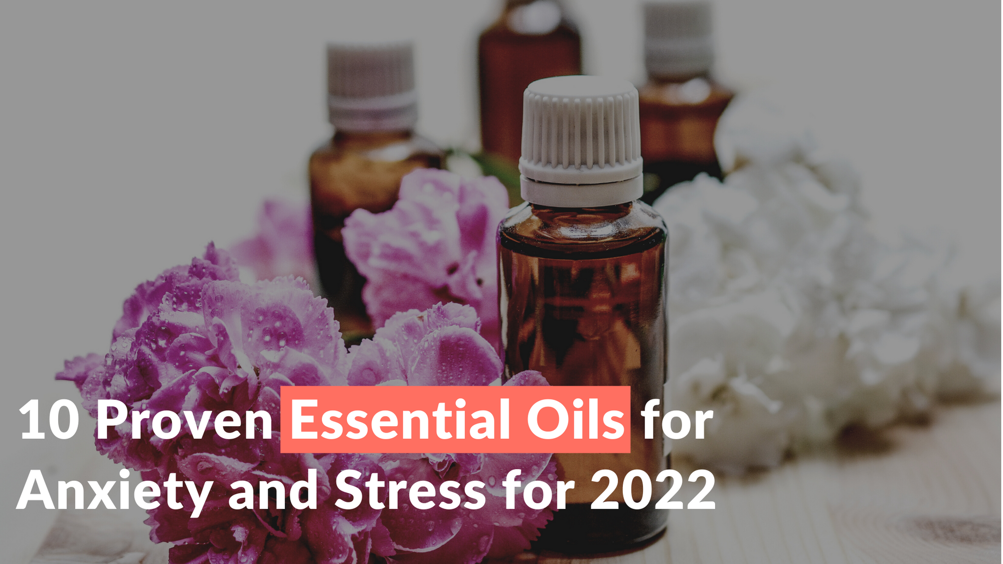 Essential oil bottles surrounded by pink and white flowers with the title "10 Proven Essential Oils For Anxiety and Stress for 2022"